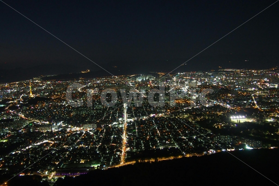 대구,전경,시가지,불빛,어둠,83타워,야경,밤,풍경,nightscape,night,landscape,도시,city,outdoors,옥외,경치,nature,자연,scenery,aerial view,조감도
