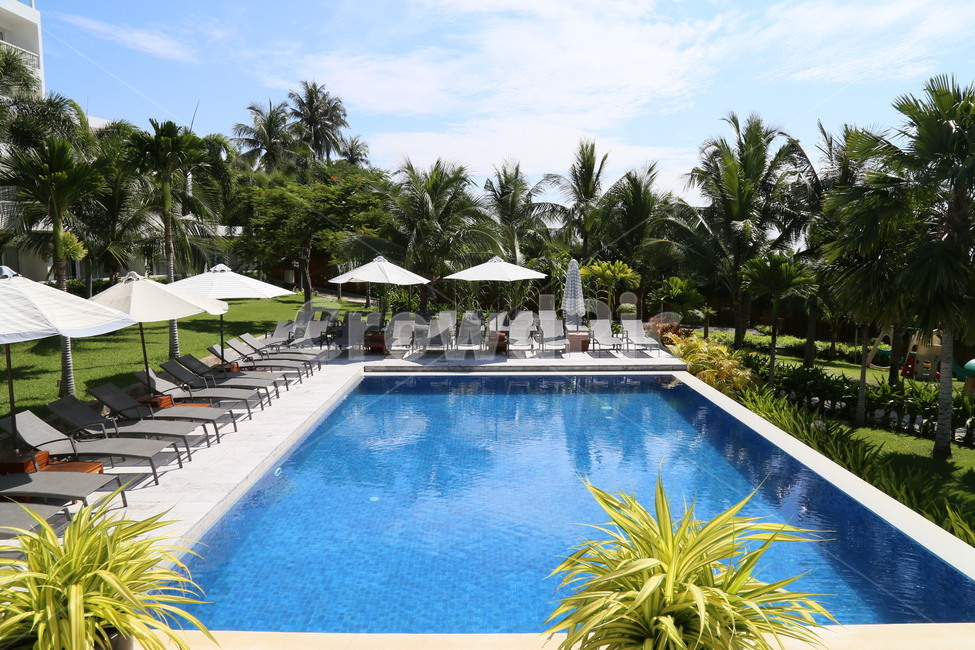 summer,여름,리조트,resort,수영장,swimmingpool
