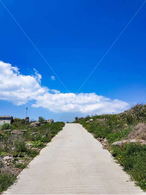 힐링,풍경,하늘,푸른,구름,cloud,blue,맑음,sunny,scenery,휴식,sky,rest,healing,nature,길,오르막길,자연,자연,풍경,nature,landscape,outdoors,옥외