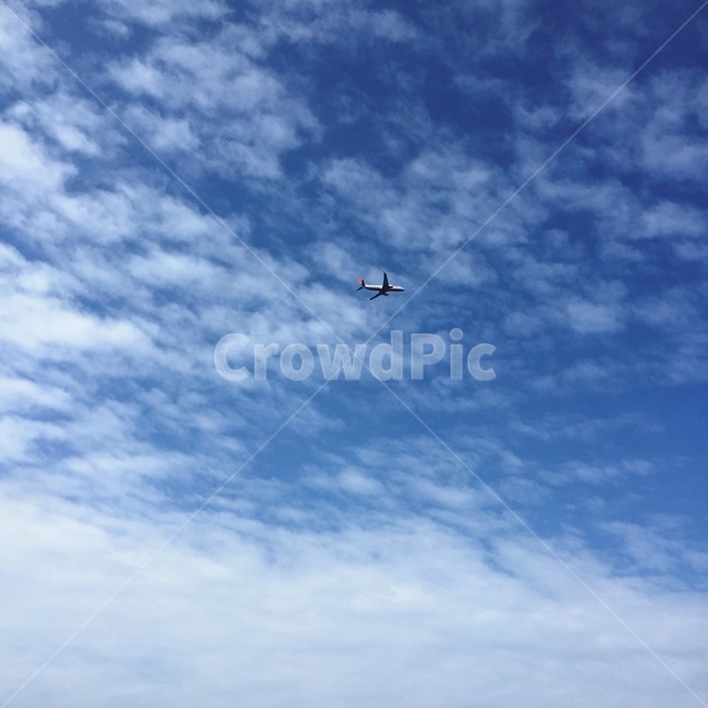 제주,감성,힐링,jeju,dolhardang,비행기,하늘,sky,자연,풍경,nature,landscape,adventure,모험,leisure activities,레저 활동,outdoors,옥외,animal,동물,bird,새,flying,나는