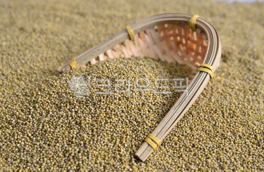 차조,곡식,농산물,쌀,좁쌀,기장,건강식,차좁쌀,잡곡
