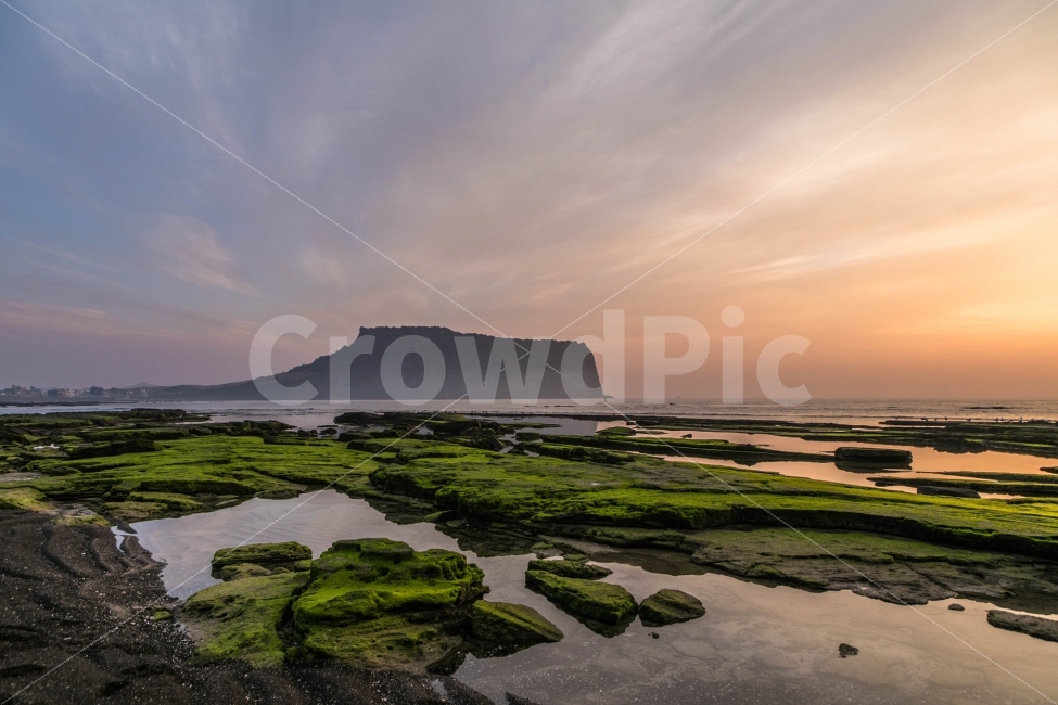 광치기해변,광치기일출,제주,제주도,여명,일출,자연,풍경,nature,landscape,한국자연풍경,한국자연경관,korea nature landscape,제주도,jeju,jeju island,plant,식물,algae,조류,moss,이끼