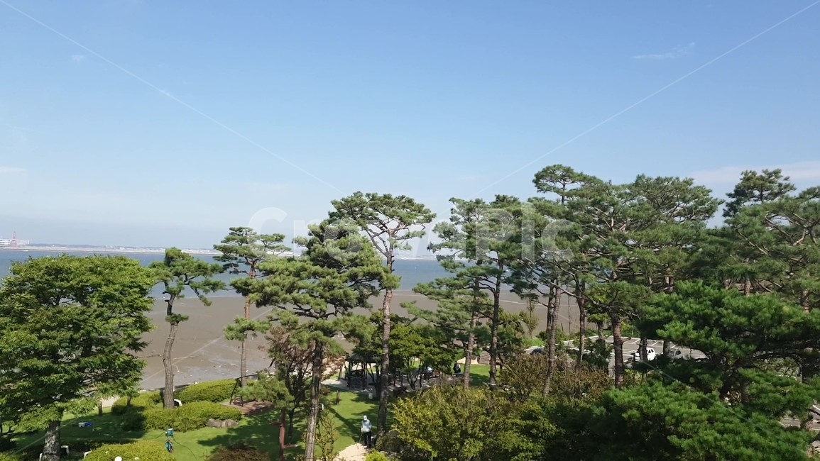 garden,정원,arbour,outdoors,옥외,자연,풍경,nature,landscape,식물,plants,나무,trees,wood,정자