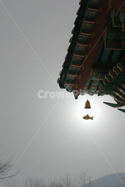 풍경,사찰,배경화면,종,물고기,절