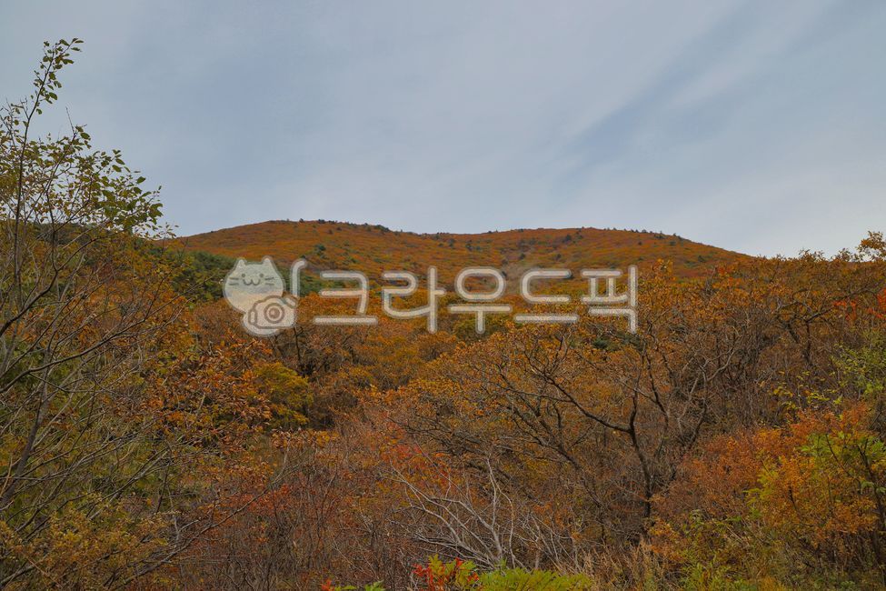 지리산, 노고단, 단풍, 산, 등산, 사진,이미지,일러스트,캘리그라피 - 비급영상공방작가