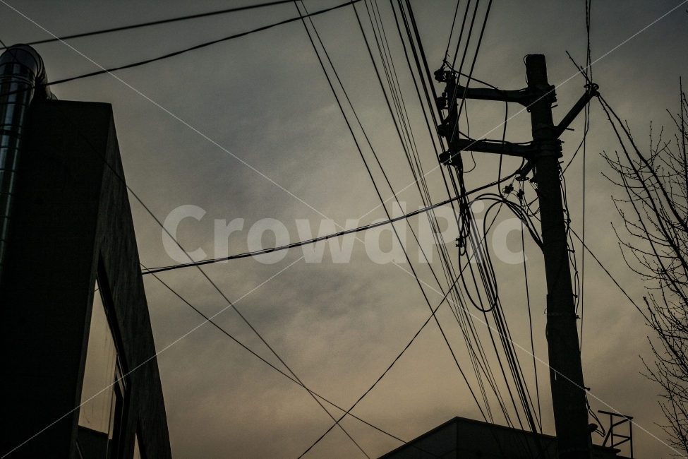저녁하늘,하늘,전봇대,역광,저녁,실루엣,그림자,silhouette,shadow,산업,industry,industrial,에너지산업,energy industry,cable,케이블