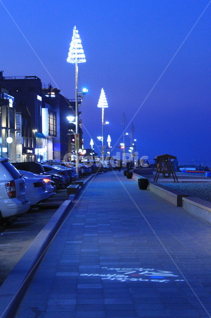 파랑색,안목,안목해변,안목커피거리,해변,야경,밤,풍경,nightscape,night,landscape,car,차,vehicle,차량,transportation,교통,automobile,자동차