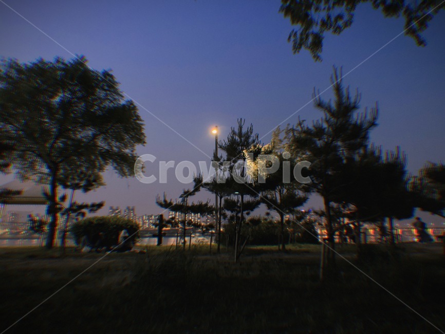 한강공원,한강,야경,한강야경,한강공원야경,필름사진,달