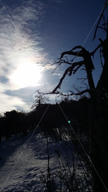 하늘,겨울,눈,snow,sky