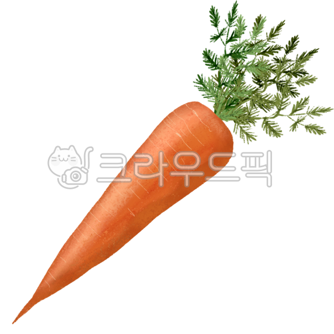 Carrot,carrot drawing,carrot illustration,vegetable,vegetable drawing,vegetable illustration,vegan