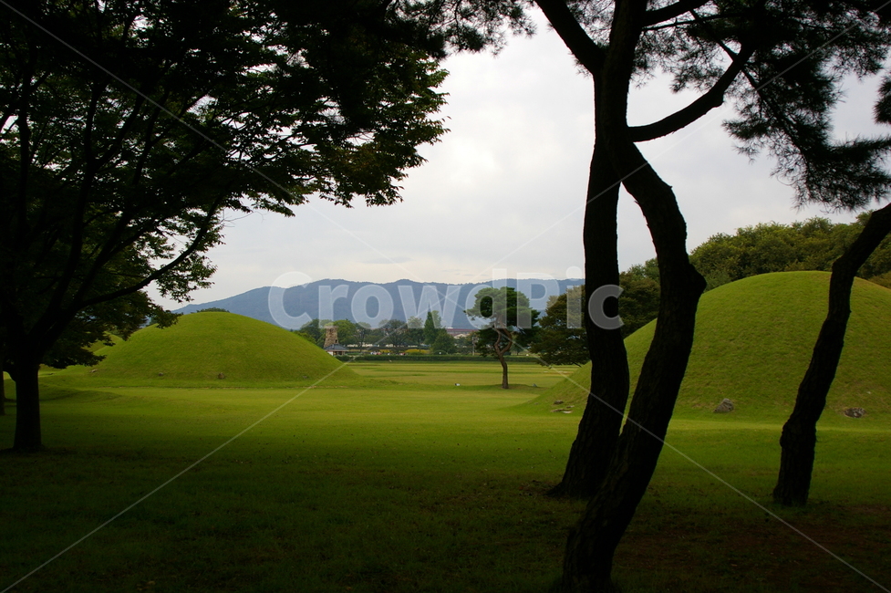 경주,풍경,자연,야외,가을,옥외,field,들,왕릉