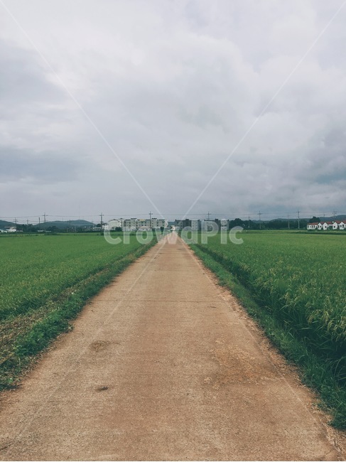 시골,길,하늘,구름,시골길,풀,자연,풍경,nature,landscape,road,도로,dirt road,흙길,gravel,자갈