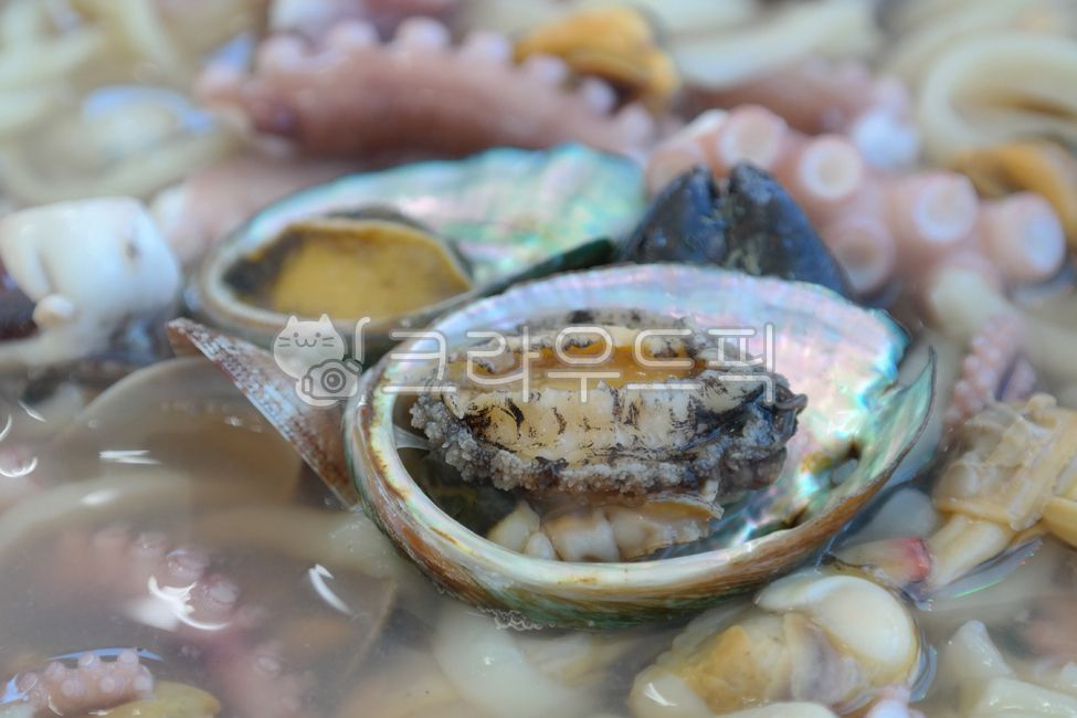 전복,칼국수,해물칼국수,해물,해산물,수산물,음식,요리,식사,면요리,면류,낙지,식재료,한식,한국음식,한국요리,abalone,noodlesoupwithseafood,seafood,food,meal,noodle,octopus
