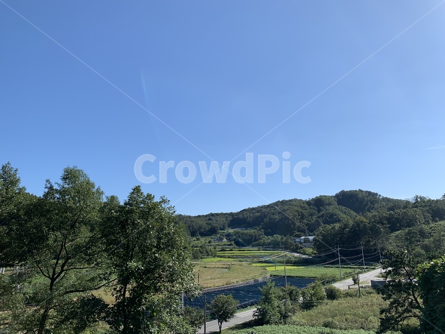 하늘,자연,나무,nature,outdoors,자연,풍경,nature,landscape,옥외