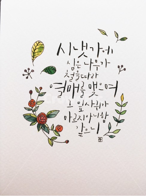 캘리그라피,말씀캘리,손글씨,꽃그림,나뭇잎,간단그림,깨끗,깔끔,캘리그래피,캘리그라피,손글씨,calligraphy