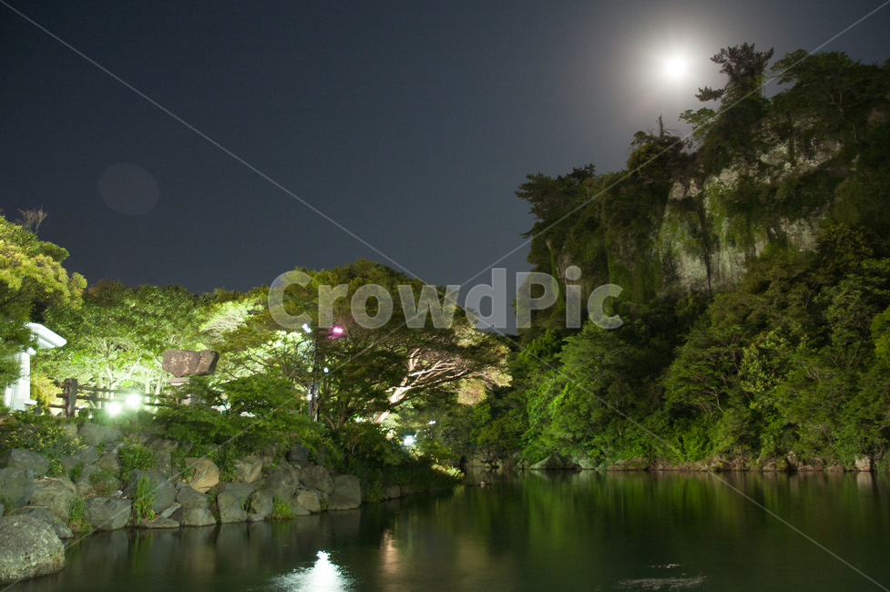 밤,호수,달,달빛,소나무,야경,야경,밤,풍경,nightscape,night,landscape,nature,자연,outdoors,옥외,water,물