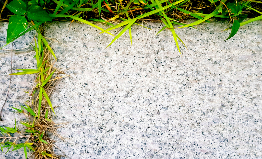 대리석,마블,배경,background,질감,패턴,백그라운드,텍스처,texture,patternstyle,레이아웃,디자인소스,문양,무늬,표면,식물,자연,plants,nature