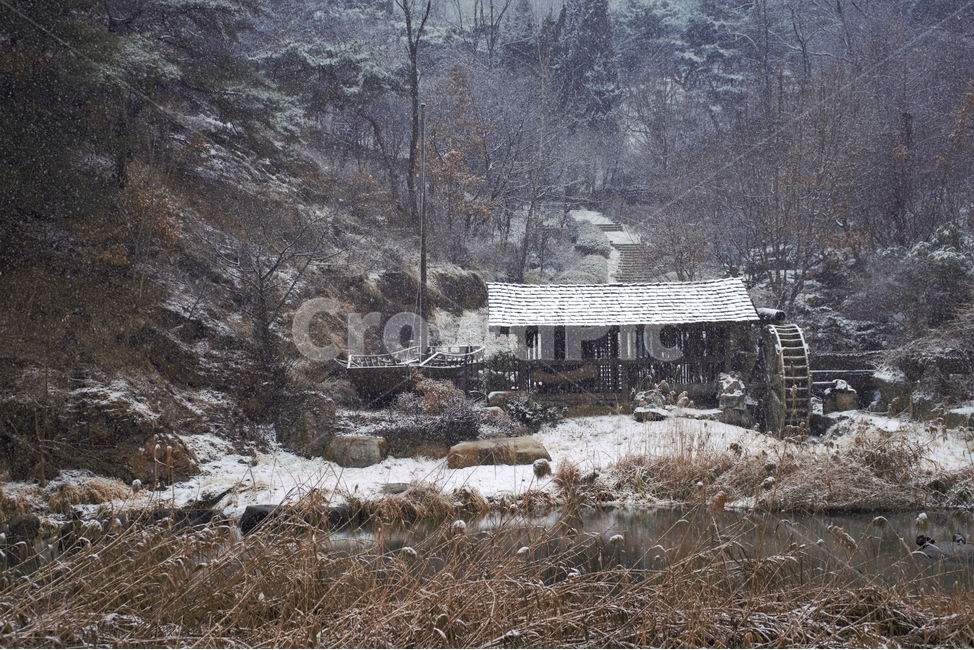 겨울,눈,물레방아,너와집,자연,계절,winter,감성,기분,feeling,watermill,snow,지붕,숲,나무,갈대,홍제천,겨울,계절,winter,season,자연,풍경,nature,landscape,한국자연풍경,한국자연경관,korea nature landscape,시골,마을,country,rural,town,outdoors,옥외,농촌,building,건물,shelter,피난처