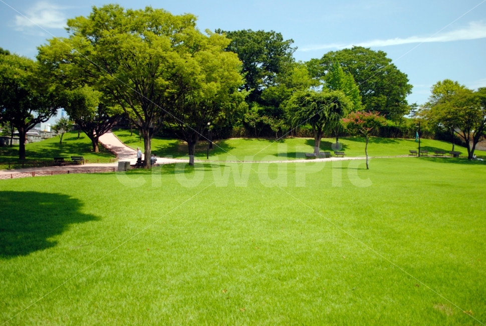 풍경,나무,자연,공원,휴식,산책,잔디,tree,nature,walk,park,자연,풍경,nature,landscape,plant,식물,grass,outdoors,옥외,field,들