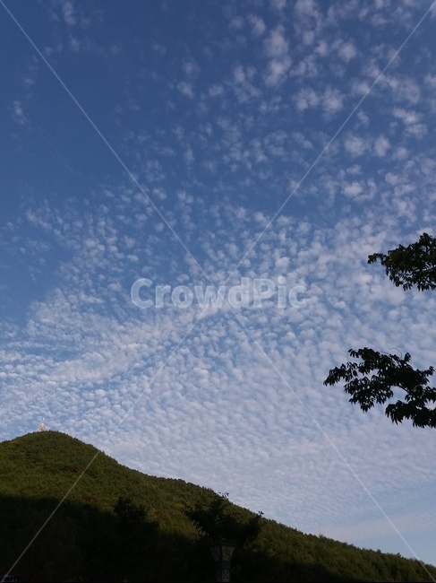 하늘,산,푸른,나뭇잎,자연,nature