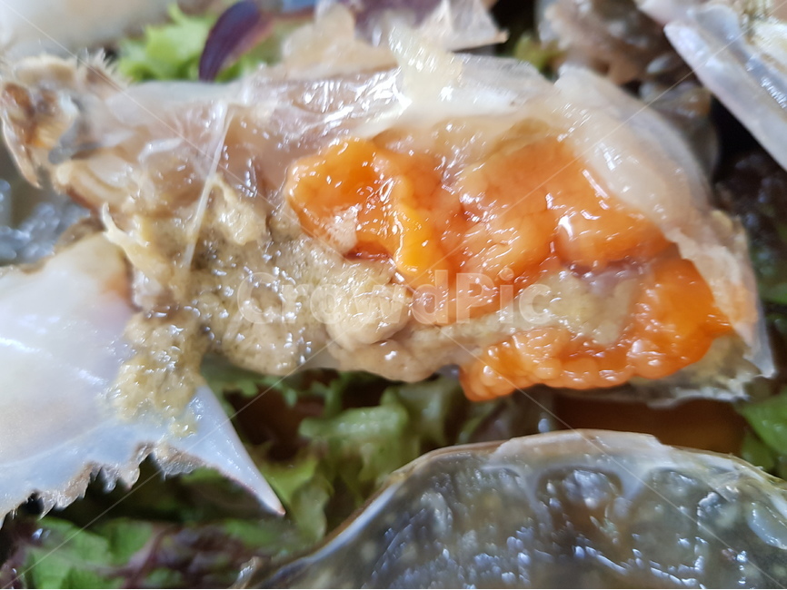 게장,양념게장,간장게장,해물,음식,음식사진,먹스타그램,오늘의메뉴,맛집,맛집추천,음식기록,일상기록,푸드스타그램,음식스타그램,미식,한끼식사,외식메뉴,집밥,요리사진,플레이팅,푸짐한한상,맛있는한끼,식사시간,맛집투어,먹방,식단관리,야식,점심메뉴,저녁메뉴,간식타임,푸드사진,일상공유,음식취향,한식양식,음식,식재료,요리,food,cook,meal,dishes,food reserves,수산물,해산물,fishery products,seafood,한식,한국음식,한국요리,korean food,korean dishes,korean meal,korean cook