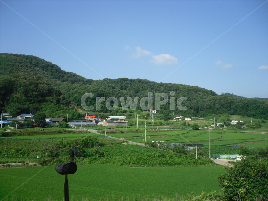 시골집,파란하늘,여름,초록,힐링,정겨운,자연,풍경,휴가,nature,landscape,시골,마을,rural,country,town,한국전통,한국문화,koreantraditional,koreanculture