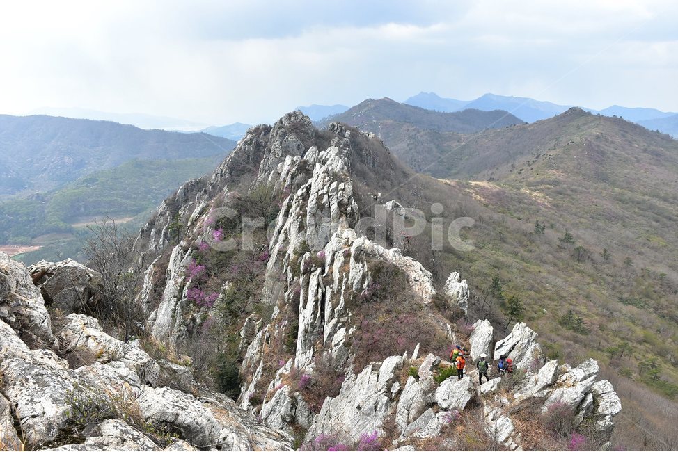 주작산,덕룡산,종주,진달래,풍경,기암,바위,비경,봄풍경,진달래꽃,강진,명산,산행,등산,마운틴,힐링,mountain,landscape,자연,natural,자연,풍경,nature,landscape,한국자연풍경,한국자연경관,korea nature landscape,slope,경사,outdoors,옥외,산,mountain range,산맥