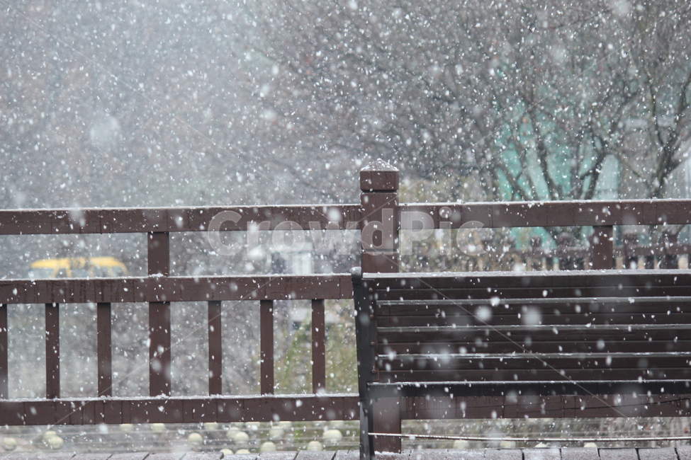 눈,겨울,의자,공원,나무,snow,winter,bench,park,tree,겨울,계절,winter,season,자연,풍경,nature,landscape,blizzard,눈보라,storm,폭풍,outdoors,옥외