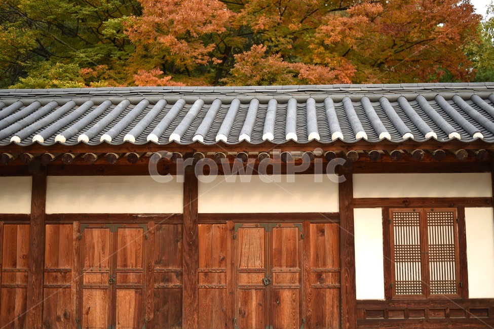 가을,단풍,경복궁,기와,궁,풍경,가을,계절,fall,autumn,season,한국전통,한국문화,korean traditional,korean culture,건축물,건물외관,exterior,building,structure,architecture,construction