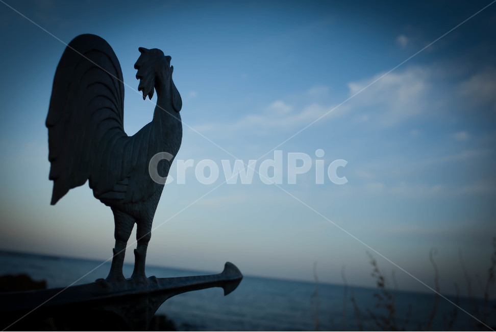 닭,바다,하늘,역광,허전함,조각상,동상,석상,조형물,statue,bronze statue,stone statue
