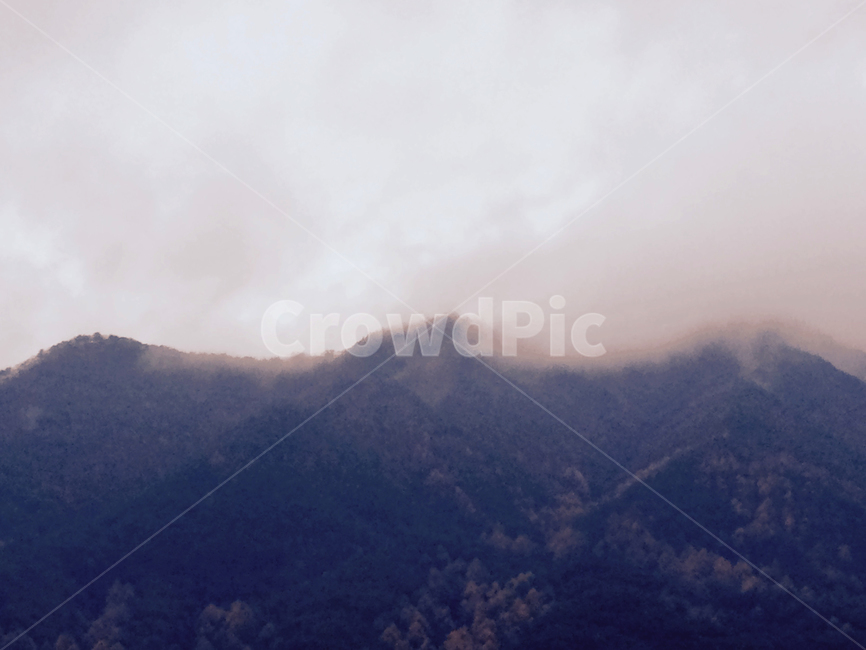 cloud,mountain,mountaintop,whitecloud,tree,산,산구름,구름,정상,안개,자연,풍경,nature,landscape,outdoors,옥외,weather,날씨,mountain range,산맥