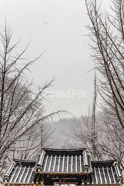 설경,기와,전통,고택,선,겨울,풍경,겨울,계절,winter,season,한국전통,한국문화,korean traditional,korean culture,건축물,건물외관,exterior,building,structure,architecture,construction