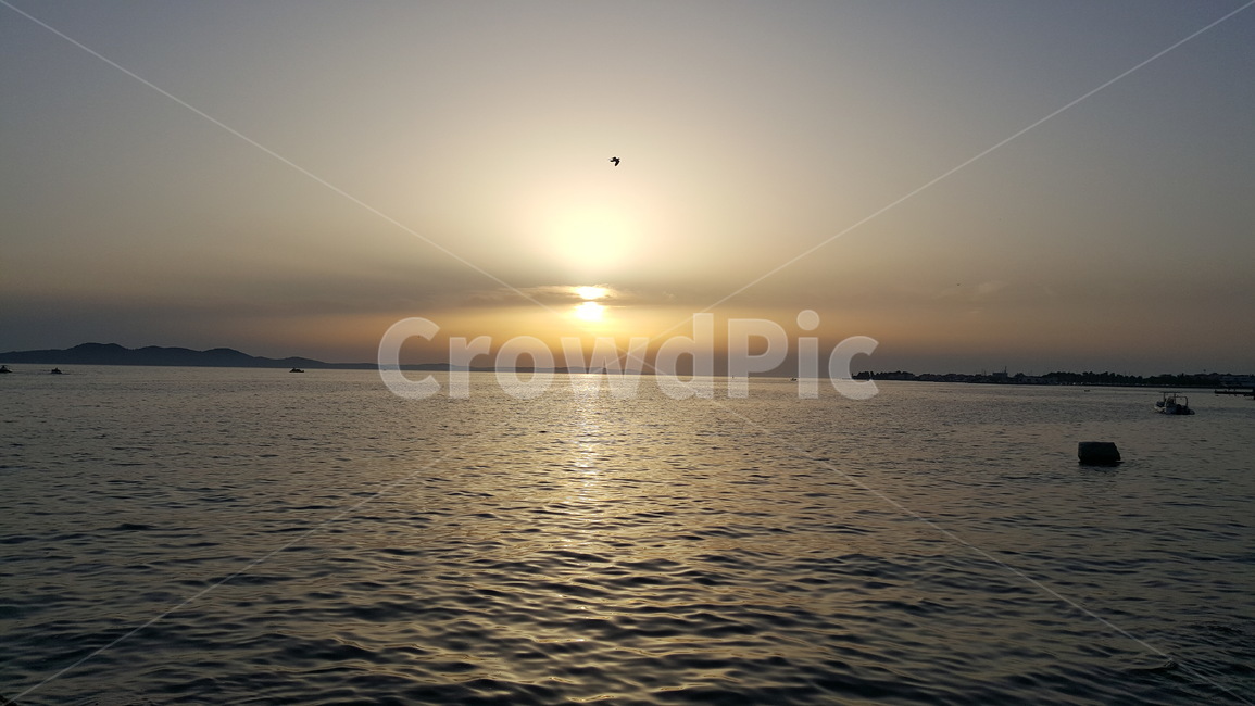 석양,노을,일몰,바다,새,하늘,태양,해,sunset,sea,ocean,bird,sky,sun