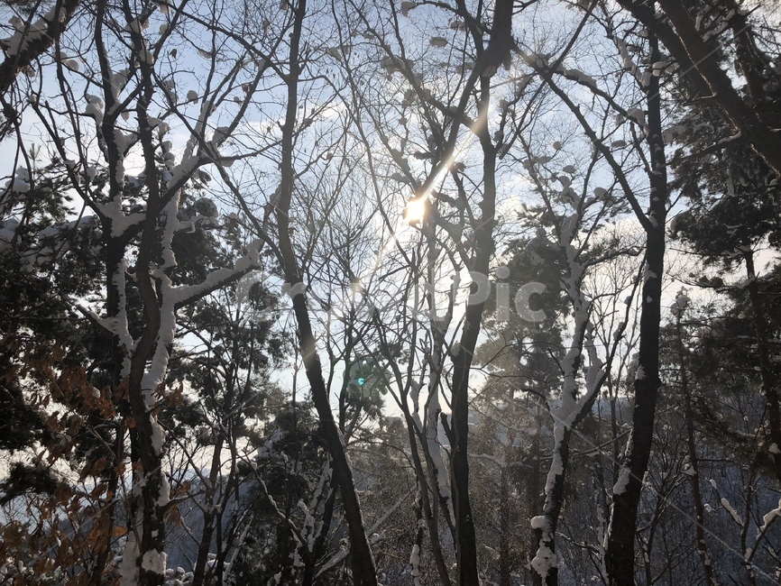 자연,풍경,설산,겨울산,겨울풍경,산,겨울,눈,눈덮인산,자연풍경,하얀색,하얀,흰,mountain,snowcovered