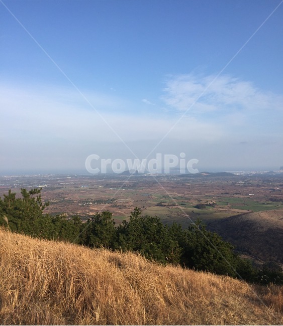 제주도,오름,갈대,nature,자연,outdoors,옥외,풍경,자연,풍경,nature,landscape