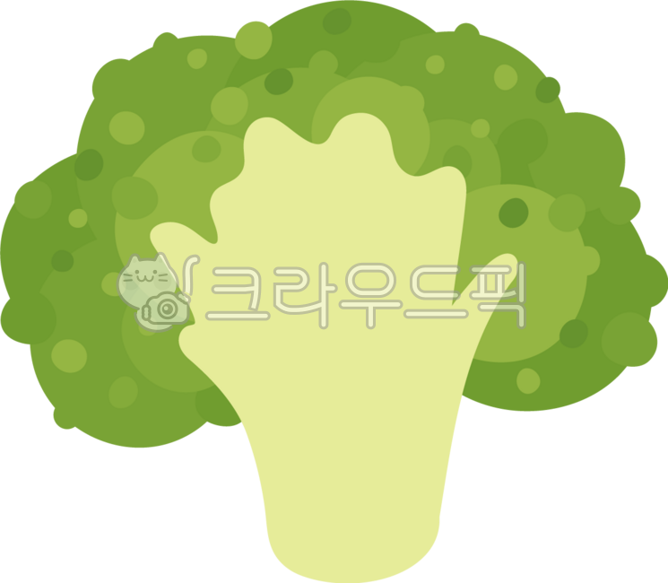야채,음식,샐러드,브로콜리,먹을것