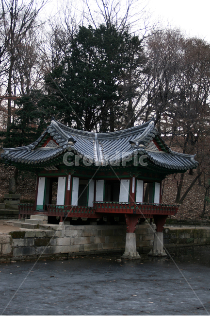 창덕궁,후원,부용정,부용지,세계문화유산,문화유산,한국,한국전통,한국문화,korean traditional,korean culture,랜드마크,landmark,tourist attraction,한국랜드마크,한국관광지,한국명소,korea landmark,korea tourist attraction