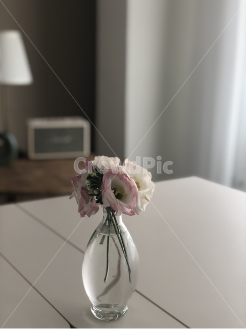 꽃,화병,꽃병,카페,핑크,꽃다발,인테리어,감성,꽃,flower,실내용화초,화분,화초,house plant