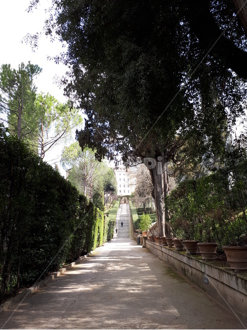 이태리,티볼리,빌라데스테,유럽,정원,궁전,나무,하늘,르네상스,이탈리아,서유럽,자연,풍경,자연,풍경,nature,landscape,해외,외국,세계,foreign,oversea,world,세계자연풍경,해외자연풍경,외국자연풍경,world nature landscape,outdoors,옥외,garden,arbour,정자