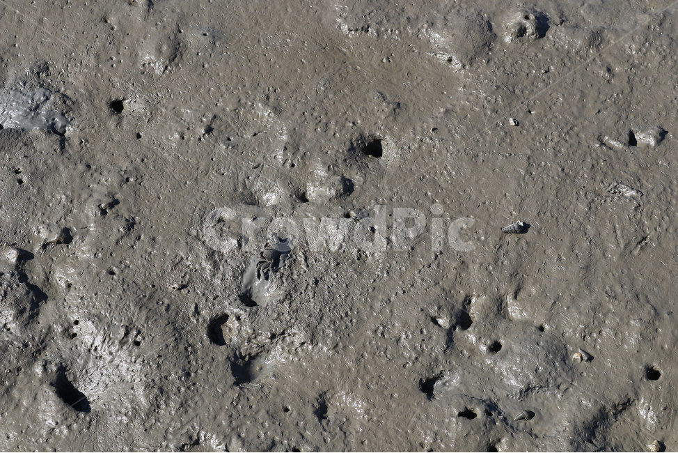 갯벌,다리,썰물,안면암,태안,서해,자연,풍경,nature,landscape,해변,바다,beach,sea,ground,바닥,sand,모래,outdoors,옥외