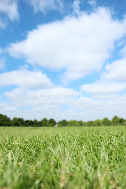 런던,하이드파크,잔디,hydepark,london,공원,맑은하늘,파란하늘,맑음,잔디밭,영국,sunnyday,자연,풍경,nature,landscape,grass,plant,식물,field,들