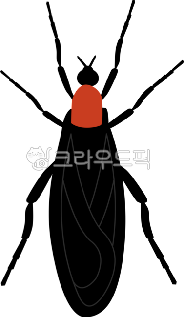 러브버그,lovebug,버그,벌레,사랑벌레,익충,곤충,붉은등우단털파리,파리,bug,fly