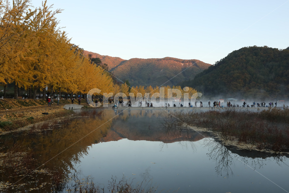 은행나무,하늘,물,단풍,산,가을,계절,fall,autumn,season,자연,풍경,nature,landscape,water,outdoors,옥외,land,땅