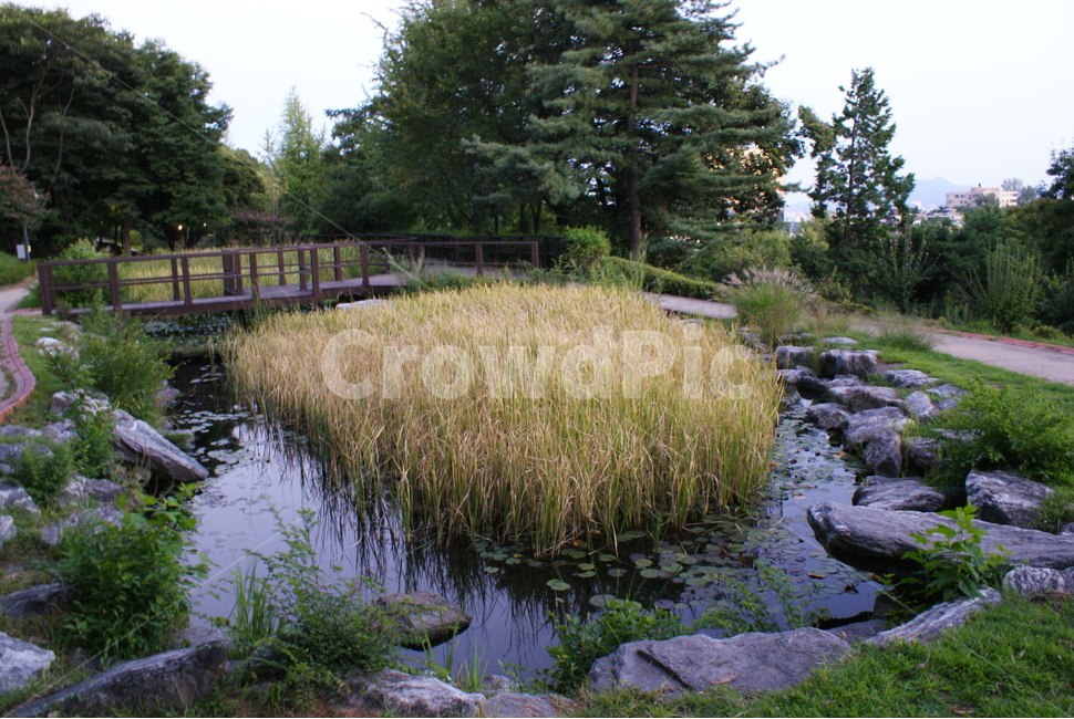 풍경,자연,식물,너무,경치,자연,풍경,nature,landscape,plant,water,물,grass,잔디,outdoors,옥외,land,땅