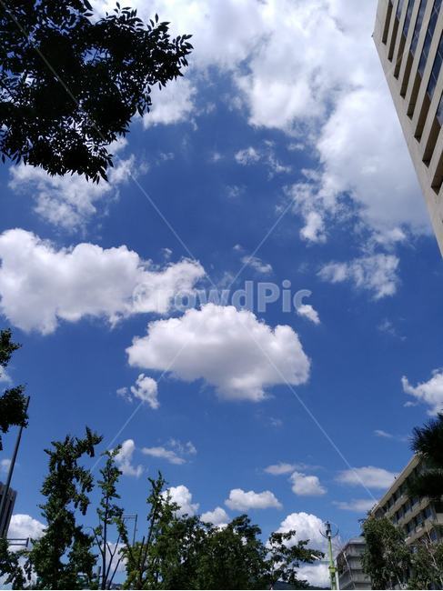 하늘,구름,blue,빌딩,sky