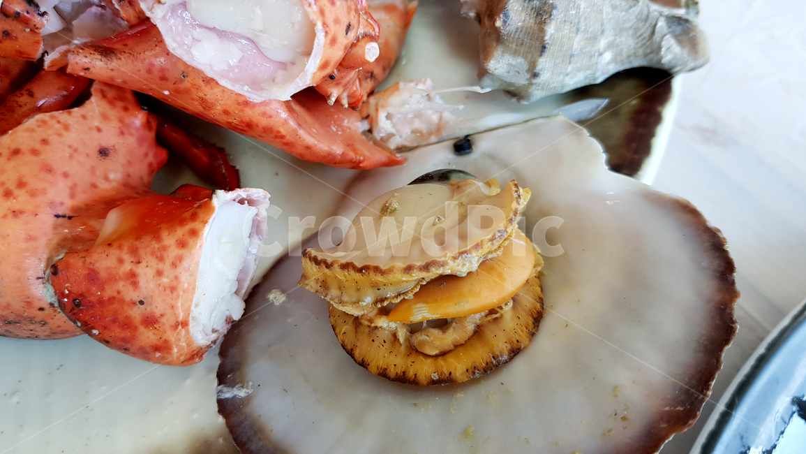 가리비,어패류,조개,바다,해산물,가리비찜,조개찜,만찬,seafood,sea,scallop,shell,food,koreanfood,homemaid,delicious,yummy