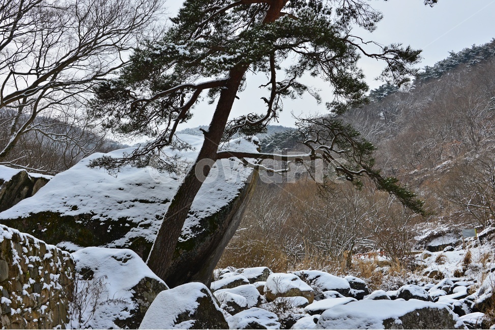 nature,자연,outdoors,옥외,ice,빙,plant,식물,tree,나무,roof,지붕,바위,광주,북구,무등산,풍암정,풍암정설경,설경,겨울,계절,눈