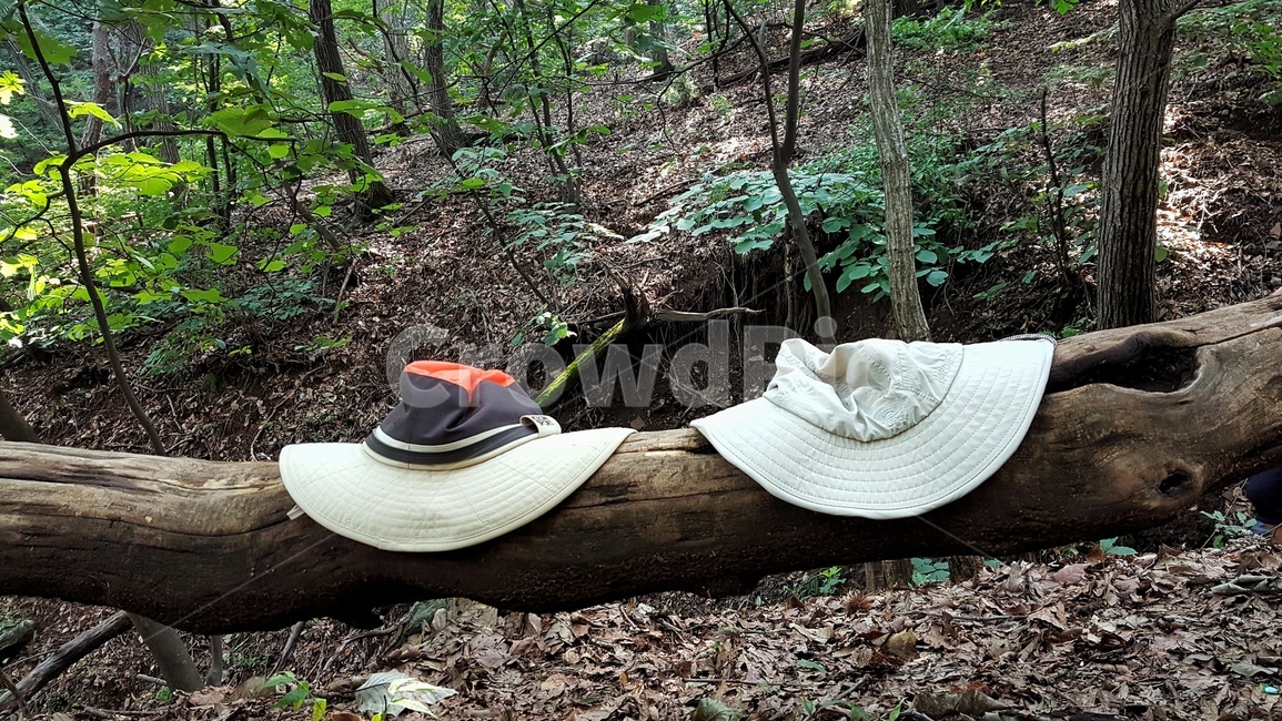 모자,등산모자,산,숲,나무,초록,등산,산행,힐링,산책,건강,휴식,hat,cap