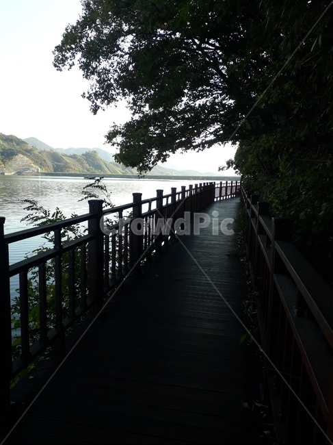 전라남도,장성,옐로시티,장성댐,장성호,자연,풍경,nature,landscape,railing,난간,banister,handrail,bridge,다리,building,건물