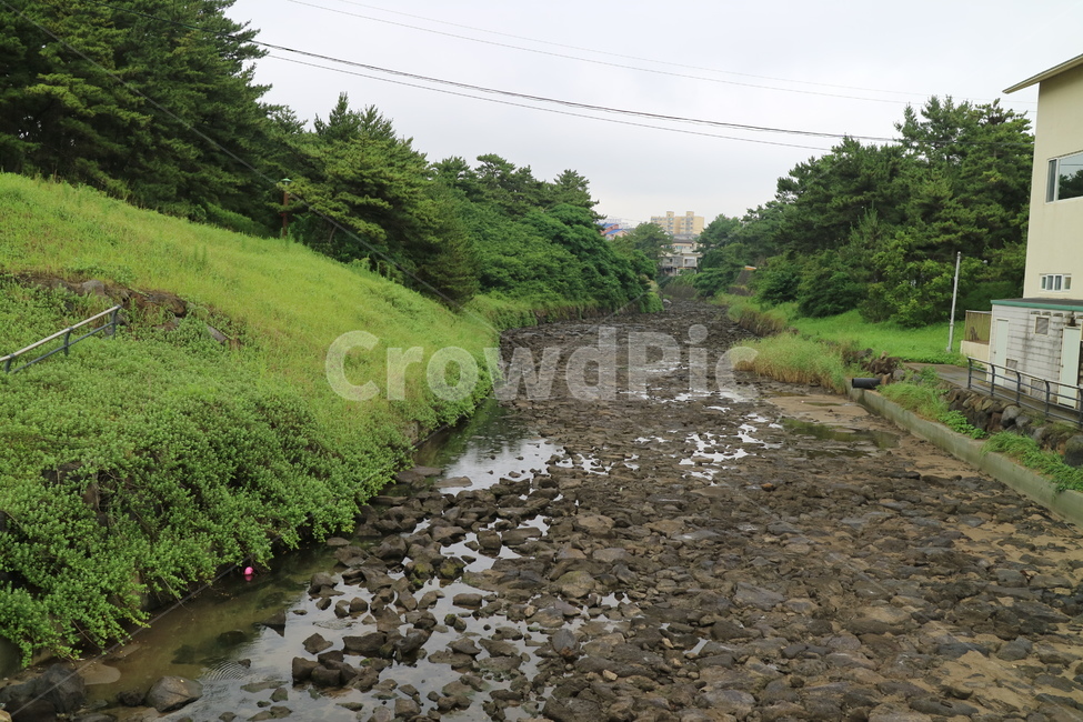 길,나무,잔디,제주도,돌길